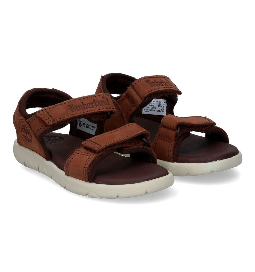 Timberland Nubble Sandal LTHR 2 Strap Sandales en Marron pour garçons (305835)