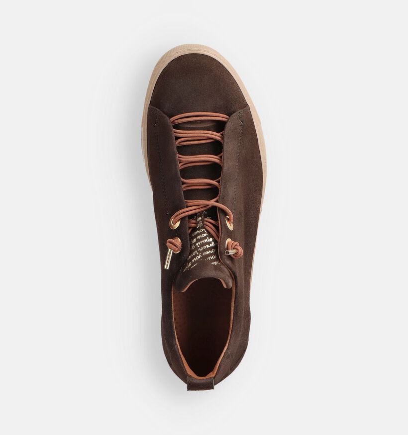 Paul Green Baskets habillées en Brun foncé pour femmes (373954)