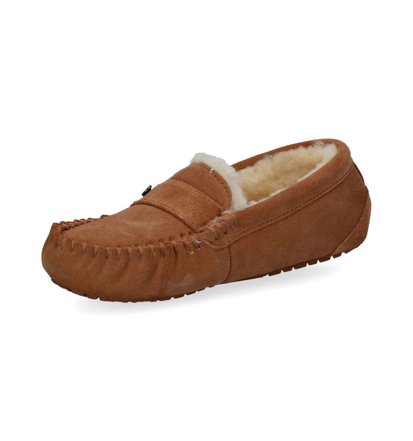Warmbat Nowra Pantoufles en Cognac pour femmes (315167)