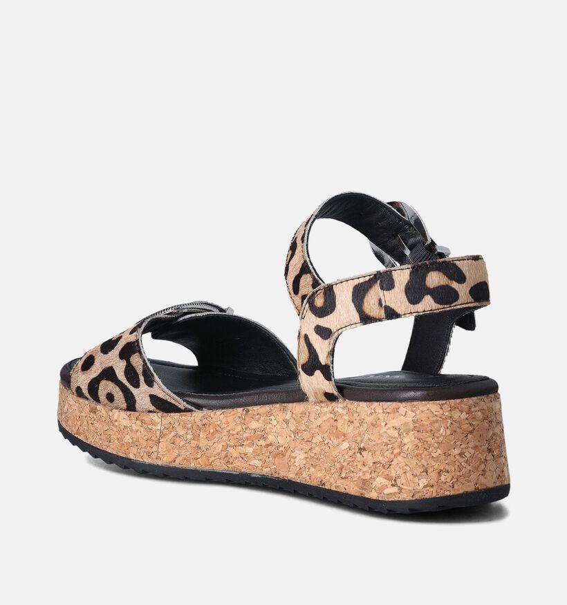 IQÔNIC Salina 4 Bruine Sandalen Met Sleehak voor dames (357702)