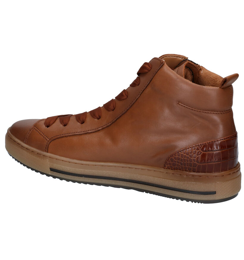 Gabor Optifit Bottillons en Cognac (282305)