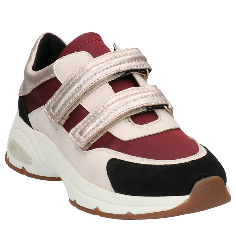 Geox Baskets basses en Beige foncé en cuir (255269)