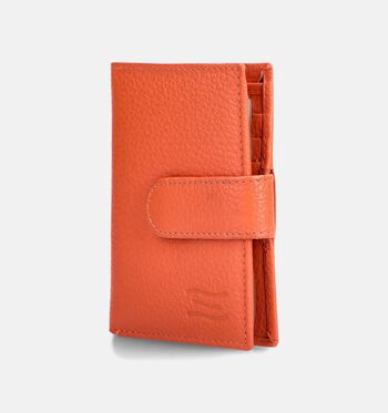 Crinkles Petite maroquinerie Orange/Cognac/Marron/Bleu