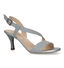 NeroGiardini Zilveren Sandalen voor dames (322755)