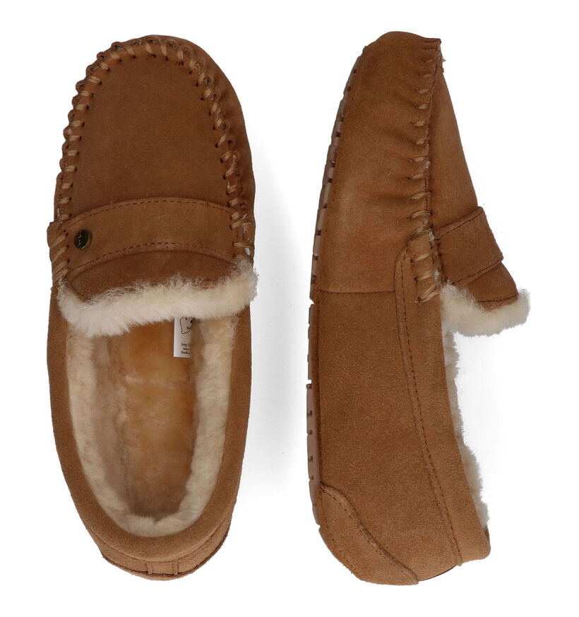 Warmbat Nowra Pantoufles en Cognac pour femmes (315167)
