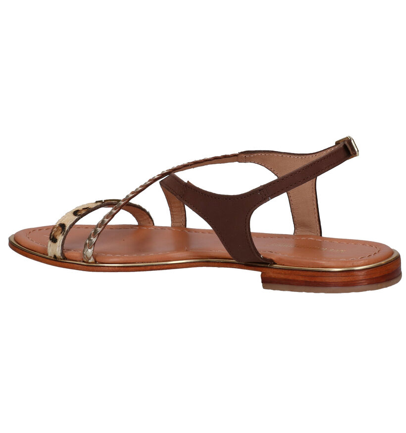 Les Tropeziennes Horsou Sandales en Marron en cuir (291214)