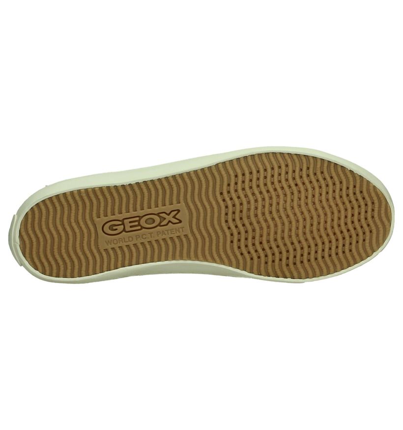 Geox Baskets basses en Beige clair en textile (190701)