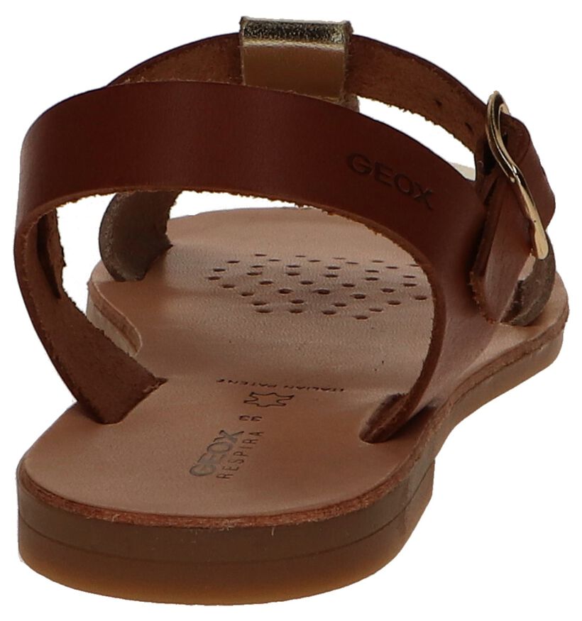 Cognac/Gouden Sandalen Geox in leer (244991)