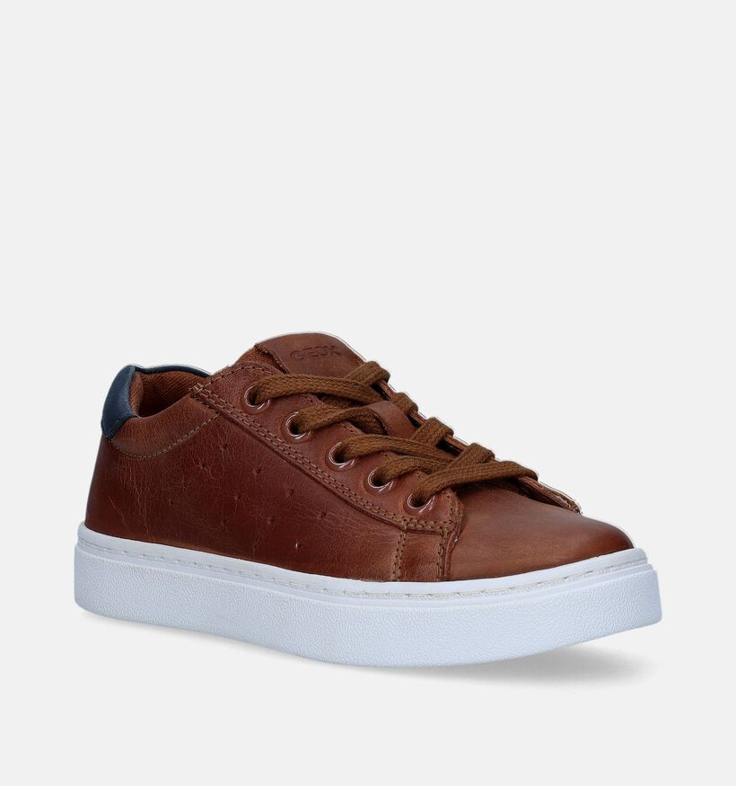 Geox Nashik Cognac Veterschoenen voor jongens (339665)