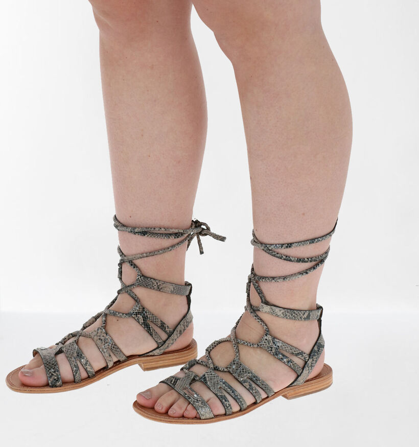 Les Tropeziennes Hercule Taupe Sandalen voor dames (291231)