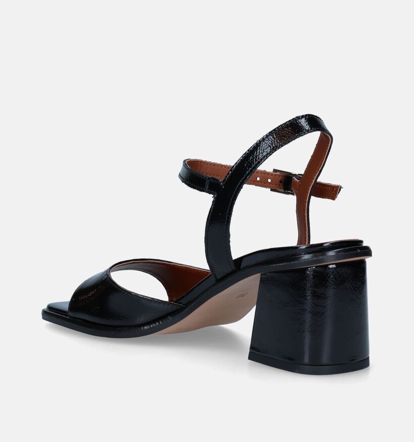 Signatur Zwarte Sandalen Met Blokhak voor dames (337892)