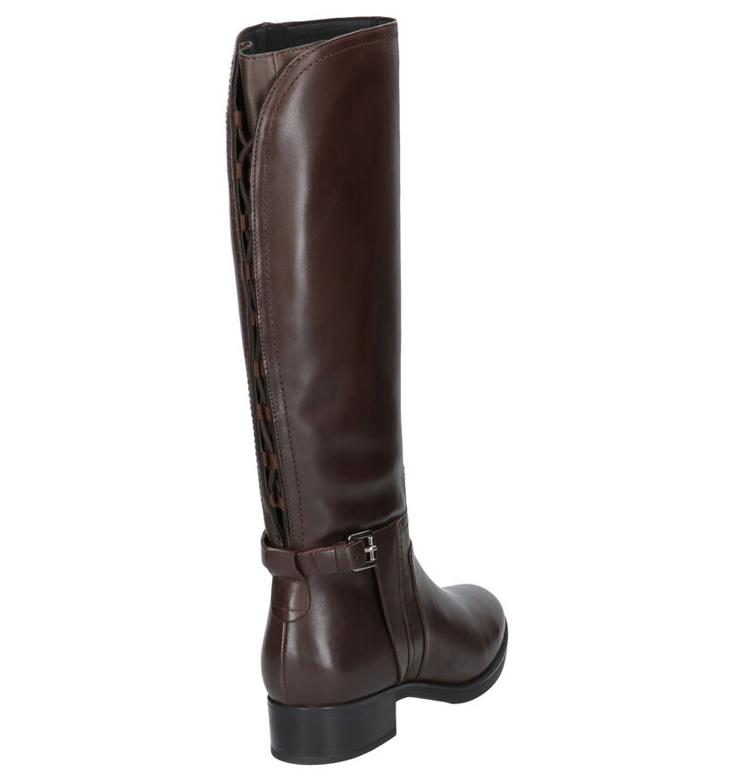 Geox Bottes hautes en Marron en cuir (263852)