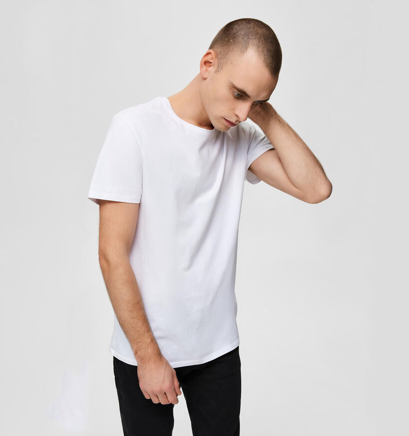 Selected Homme 3 Pack T-shirts en Blanc (281406)
