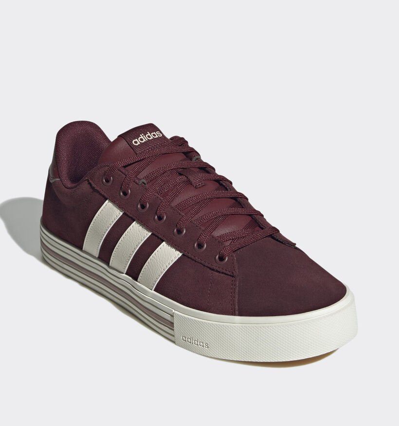 adidas Daily 4.0 Baskets en Bordeaux pour hommes (359505) - pour semelles orthopédiques