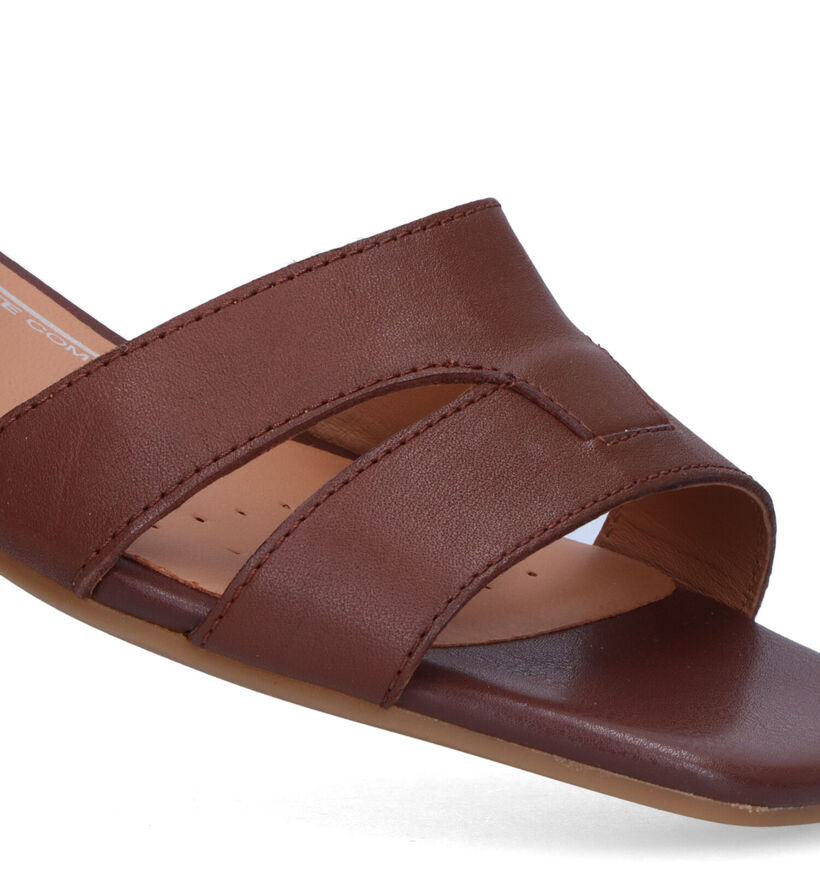 Geox Genziana Sandales en Marron en cuir (321140)
