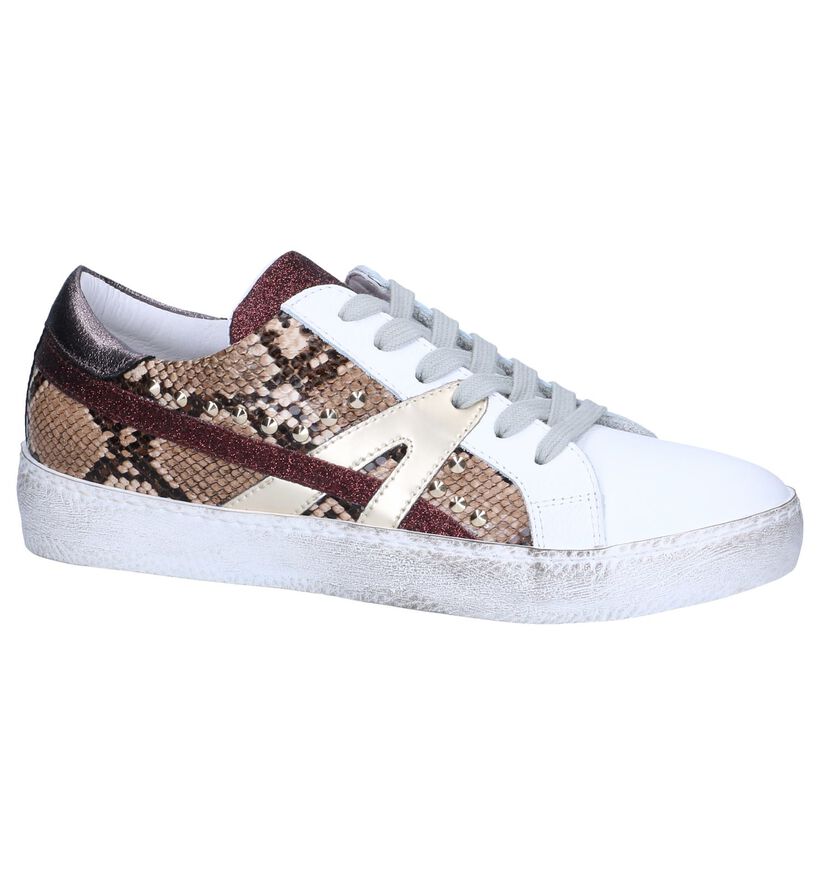 Clue Baskets habillées en Marron en cuir (262592)