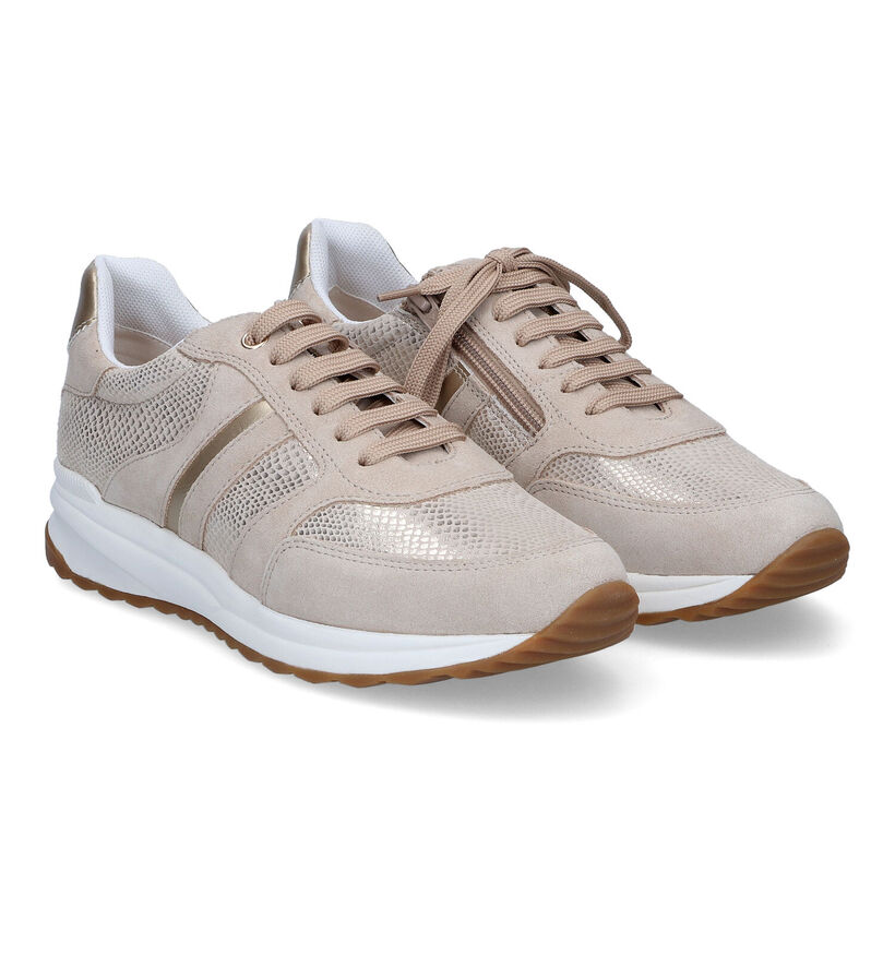 Geox Airell Beige Sneakers in daim (303646)