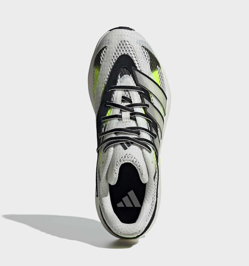 Adidas Lightblaze Baskets basses en Blanc pour hommes (372942)