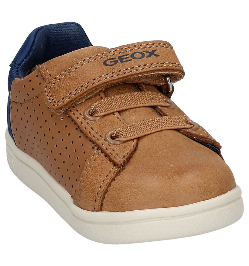 Geox Cognac Schoen met Elastiek in kunstleer (265794)