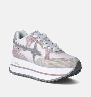 W6YZ Baskets Rose
