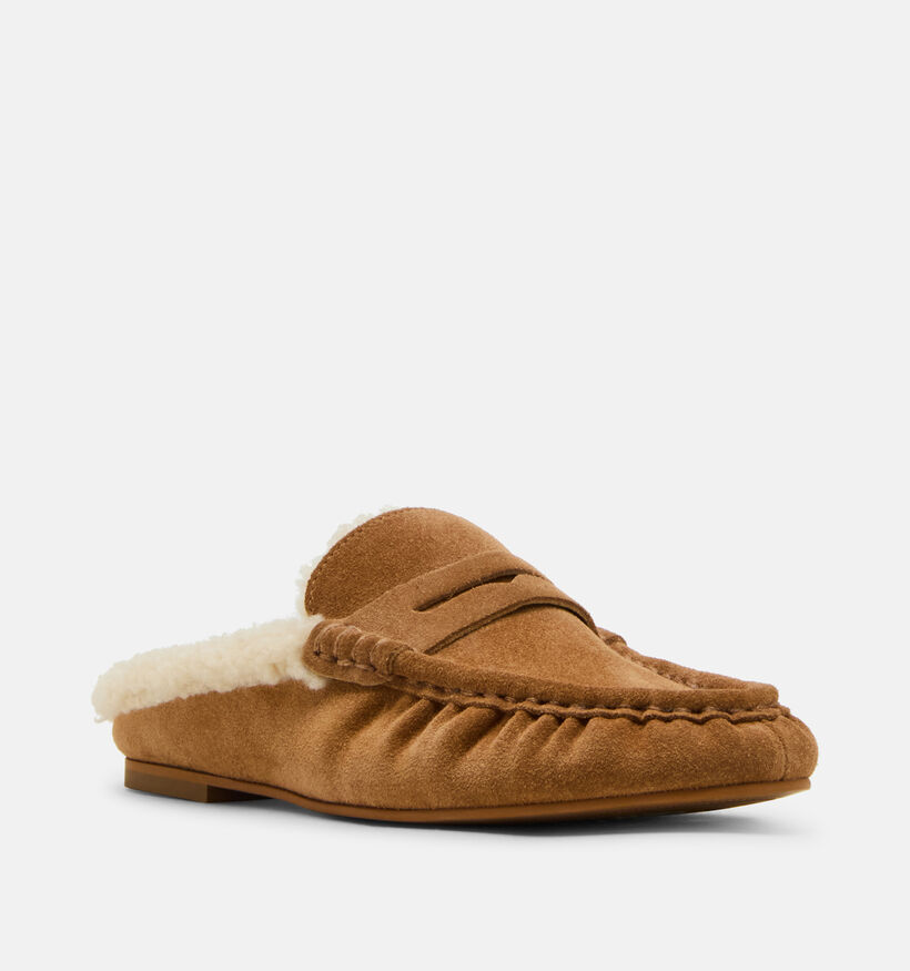Steve Madden Rafe Loafers en Cognac pour femmes (378155)