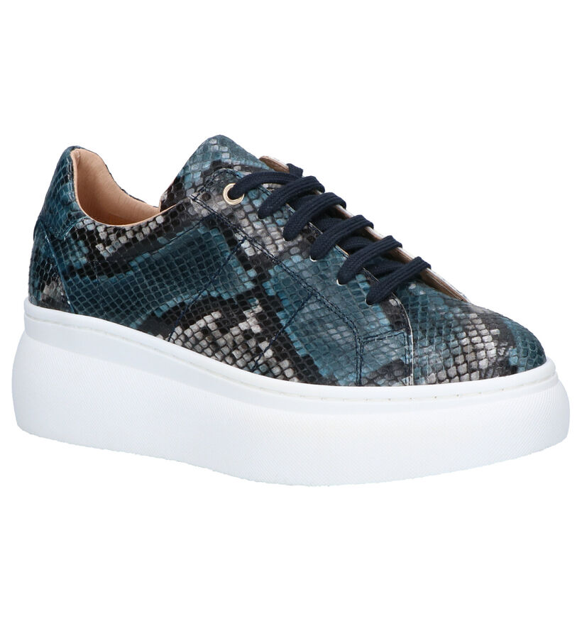 Frida Montana Blauwe Veterschoenen in leer (262447)