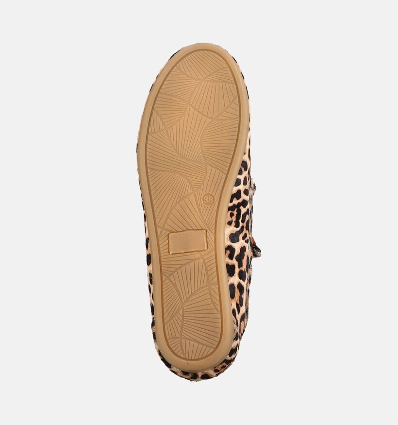 Poelman Chaussures bateau en Marron pour femmes (386176)