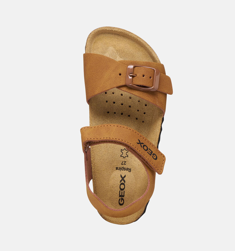 Geox J Ghita Sandales en Camel pour gar&ccedil;ons (370138)