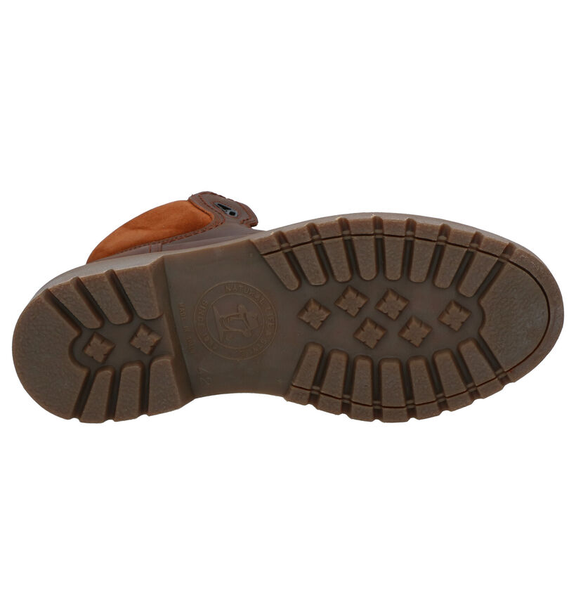 Panama Jack Amur GTX Bottines en Marron en cuir (259277)