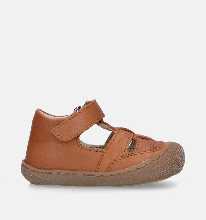 Naturino Wad Nappa Sandales pour bébé en Bleu Naturino Wad Nappa Sandales pour bébé en Cognac pour garçons (339202)