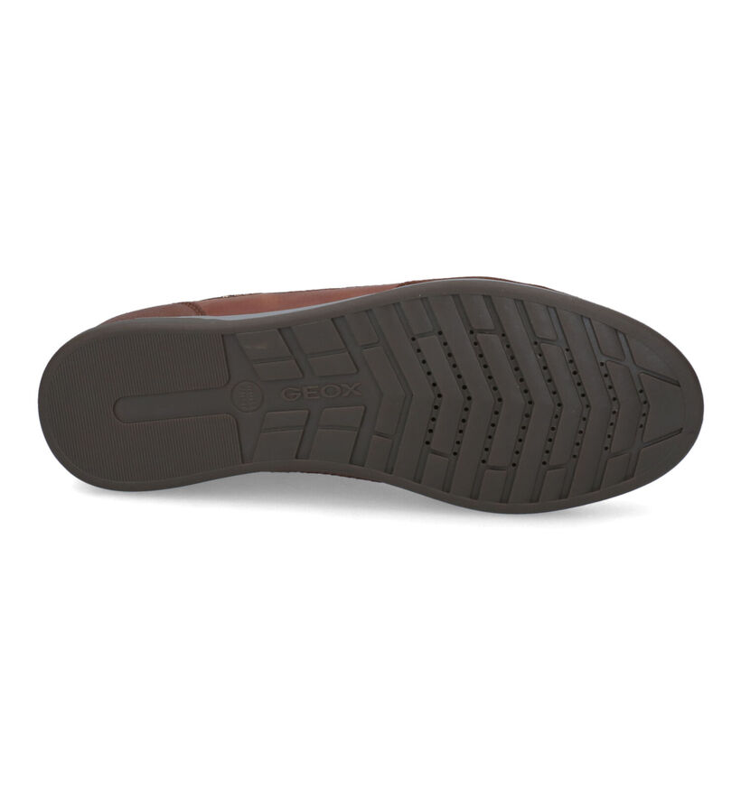 Geox Renan Chaussures basses en Noir en cuir (313676)