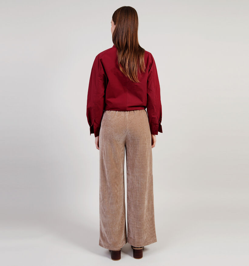 Rue Mazarin Pantalon en Brun pour femmes (365498)