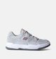 DC Shoes Construct Grijze Skate sneakers voor dames (350831) - geschikt voor steunzolen