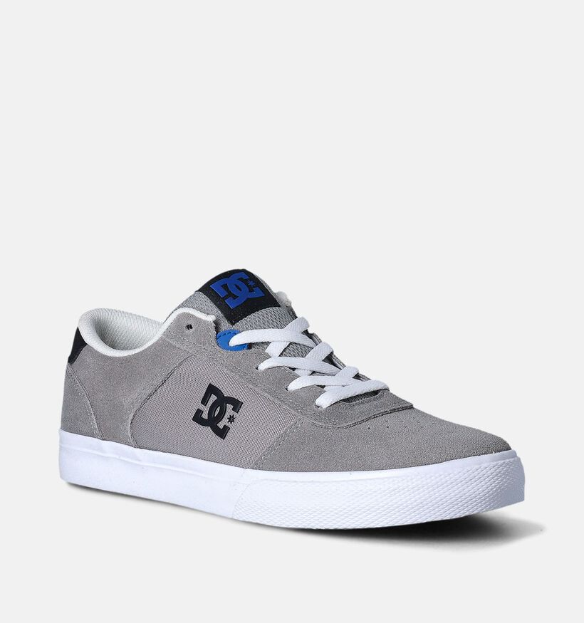 DC Shoes Teknic Grijze Sneakers voor jongens (361767)