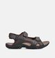 Regatta Harris Donkerbruine Sandalen voor heren (367968)