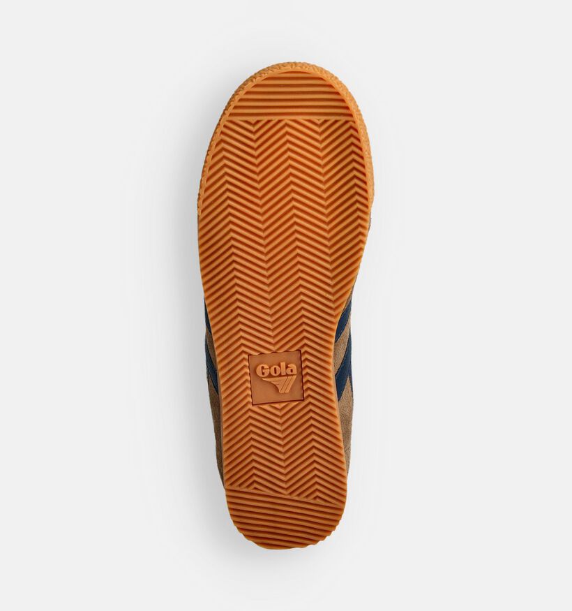 Gola Harrier Baskets en Marron pour hommes (360726) - pour semelles orthopédiques