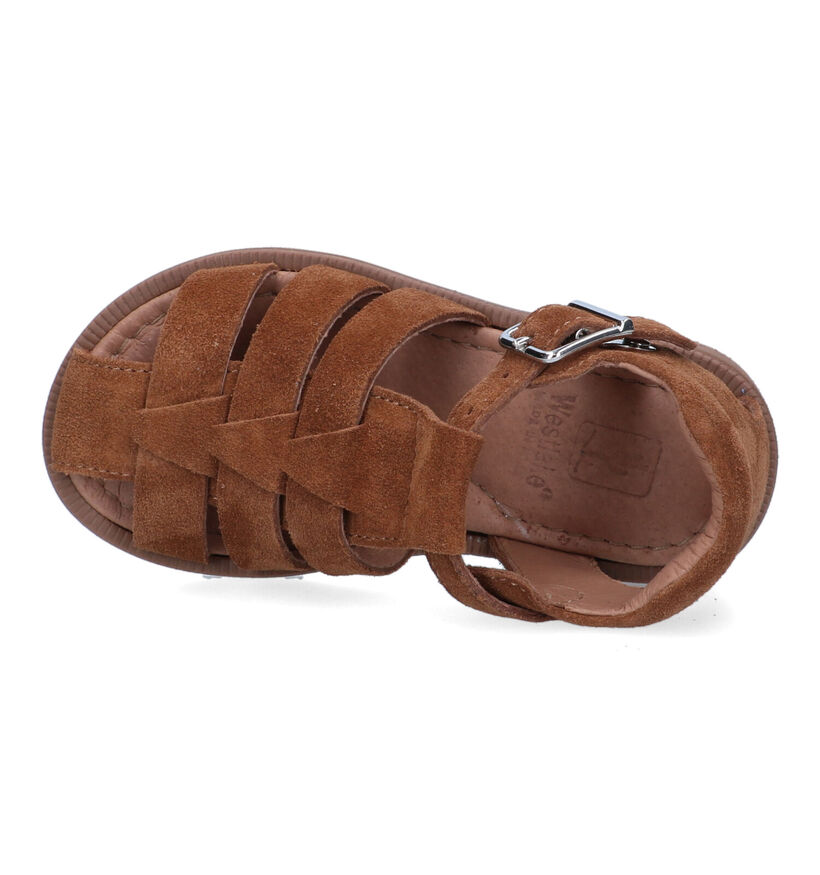 Westlake Cognac Sandalen voor jongens, meisjes (320013)