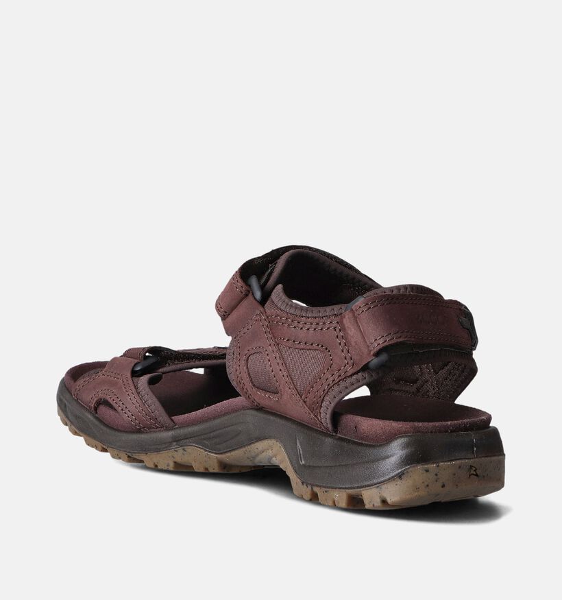 ECCO Offroad Yucatan Bruine Sandalen voor heren (353374)