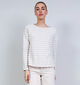 The Shirt Project Grijze T-shirt met Lange Mouwen Gestreept voor dames (374342)
