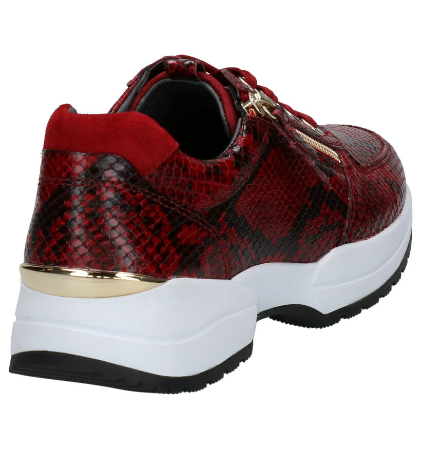 Gabor OptiFit Chaussures basses en Rouge en cuir (260105)