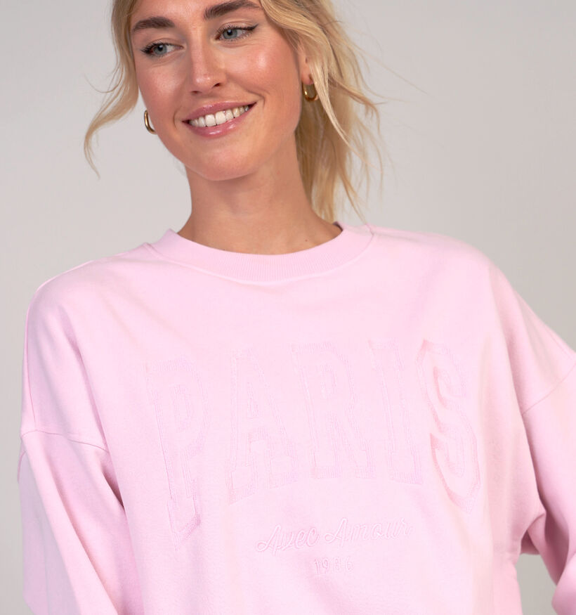 JDY Mesa Paris Roze Sweater voor dames (365962)