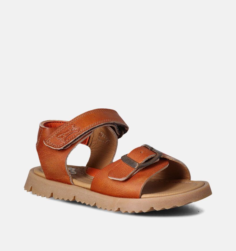 STONES and STONES Cognac Sandalen voor jongens (366243)