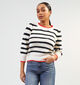 Vero Moda Vigga Ecru Gestreepte trui voor dames (352175)