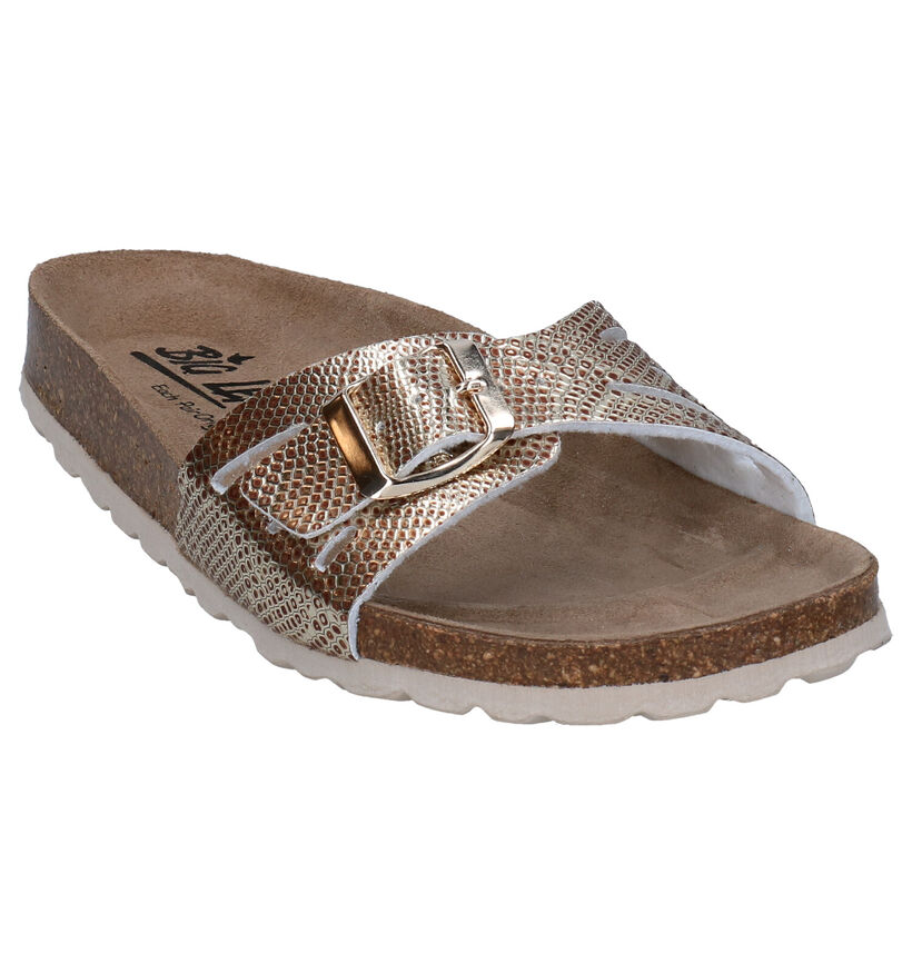 Big Leaf Gouden Slippers in stof (292596)