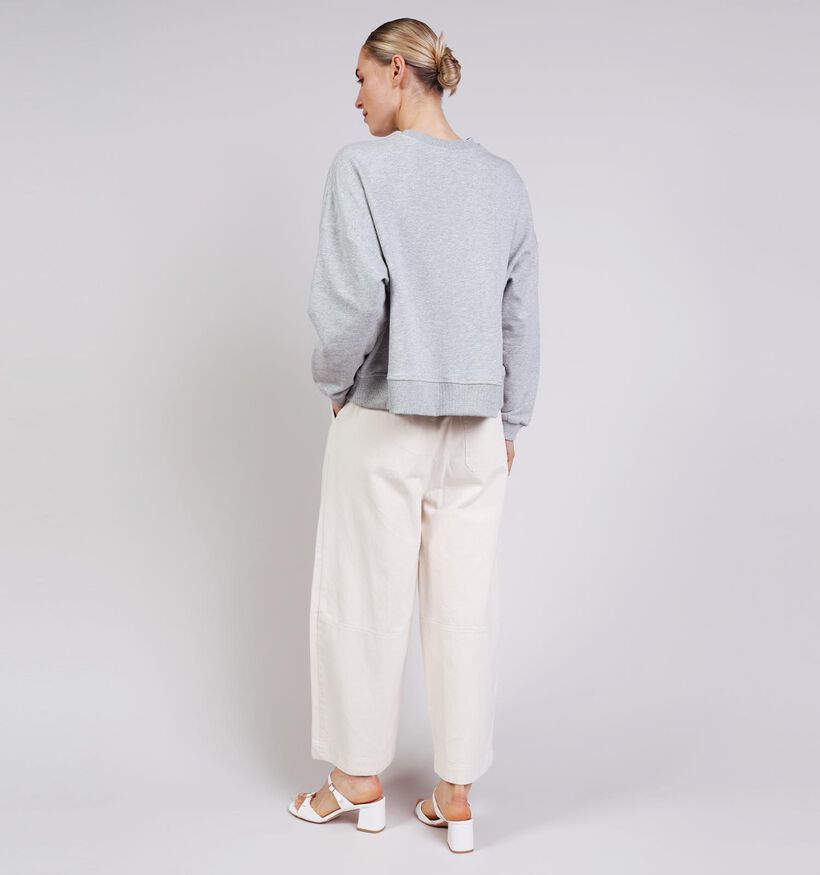 Ador&eacute; Soraya Lichtgrijze Sweater voor dames (376748)