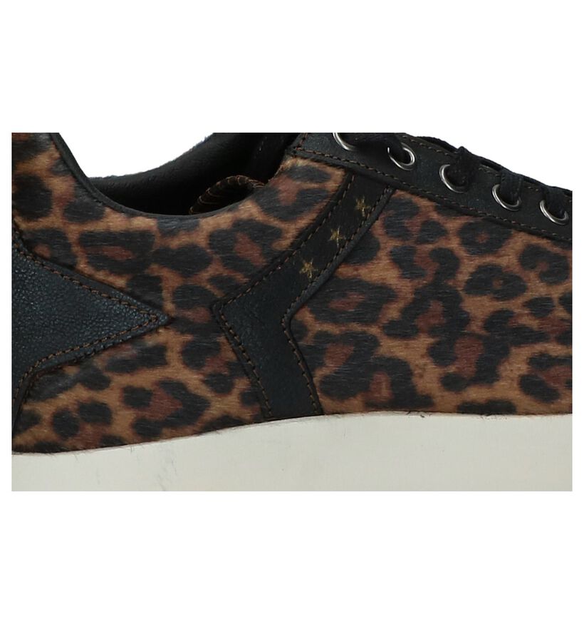 Bruine Sneakers Pantofola d'Oro Lecce Leopard Donne Low in leer (227336)
