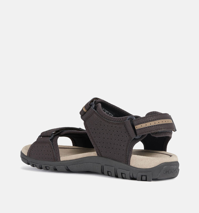 Geox Uomo Bruine Wandelsandalen voor heren (351633)