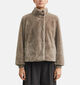 comma Manteau court en Taupe pour femmes (379434)