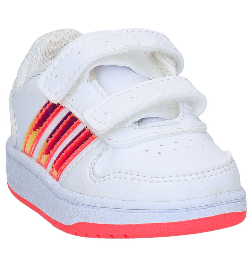 adidas Hoops Baskets en Blanc en simili cuir (276579)