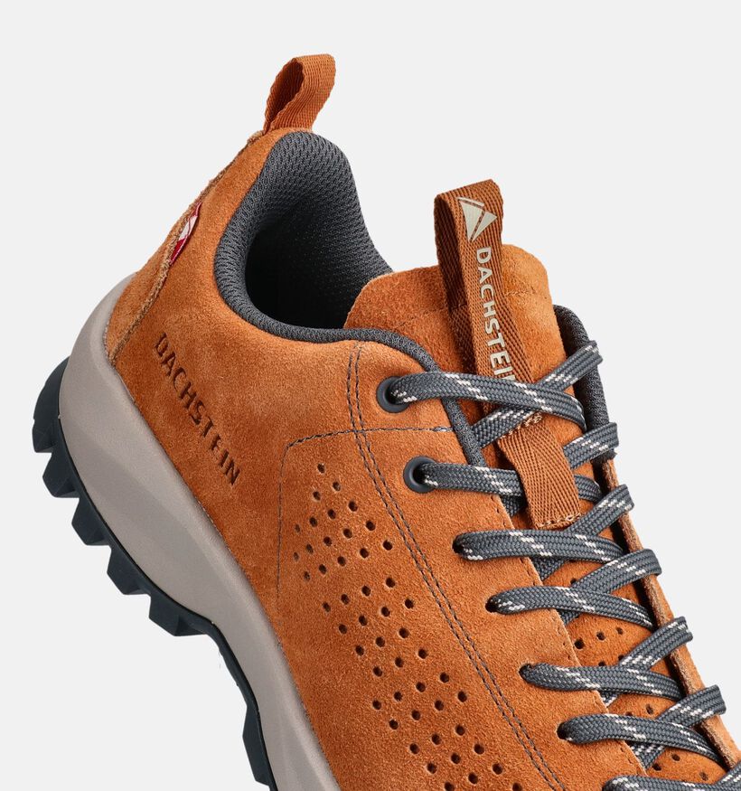 Dachstein Soelden Cognac Lage Wandelschoenen voor heren (372968) - geschikt voor steunzolen